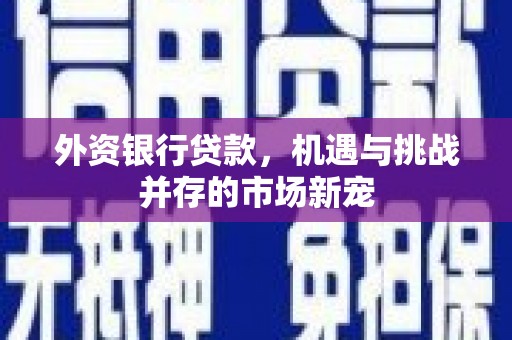 哈尔滨外资银行贷款，机遇与挑战并存的市场新宠