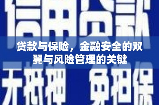 哈尔滨贷款与保险，金融安全的双翼与风险管理的关键