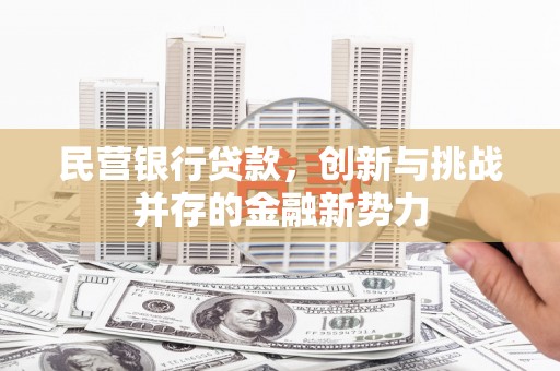 哈尔滨民营银行贷款，创新与挑战并存的金融新势力