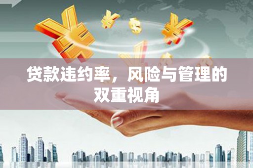 哈尔滨贷款违约率，风险与管理的双重视角