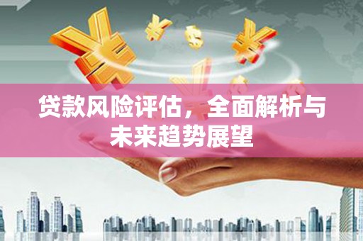 哈尔滨贷款风险评估，全面解析与未来趋势展望