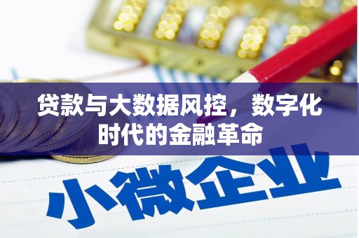 哈尔滨贷款与大数据风控，数字化时代的金融革命