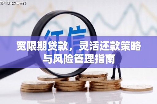 哈尔滨宽限期贷款，灵活还款策略与风险管理指南