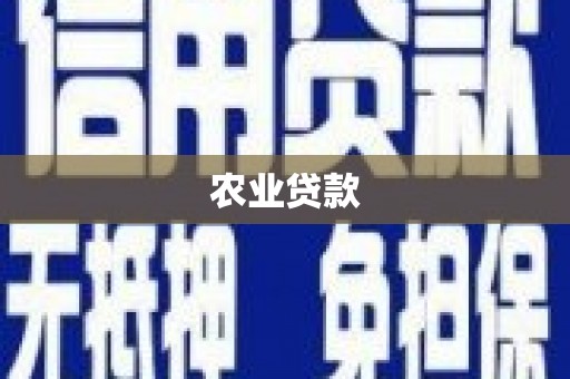 哈尔滨农业贷款