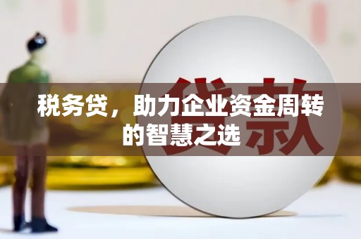 哈尔滨税务贷，助力企业资金周转的智慧之选