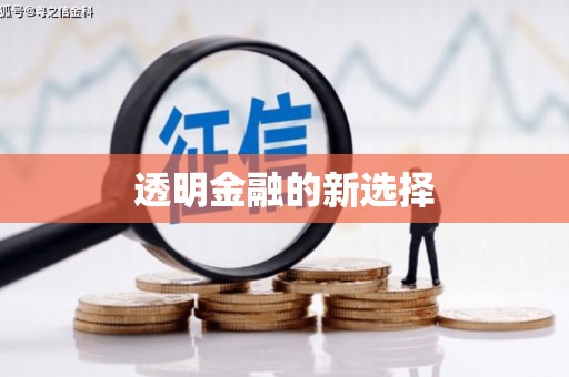 哈尔滨透明金融的新选择