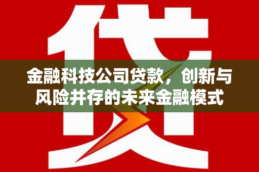 哈尔滨金融科技公司贷款，创新与风险并存的未来金融模式