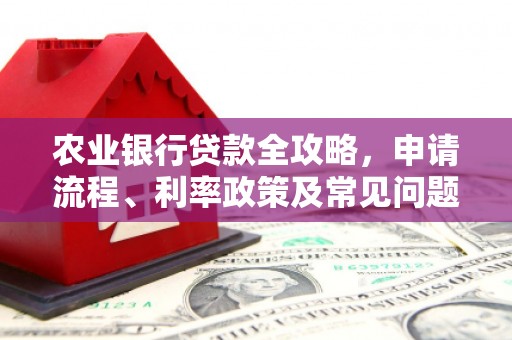 哈尔滨农业银行贷款全攻略，申请流程、利率政策及常见问题解析