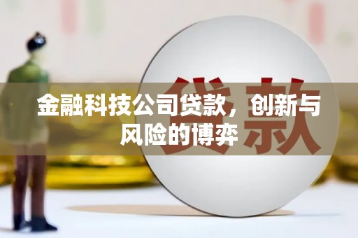 哈尔滨金融科技公司贷款，创新与风险的博弈