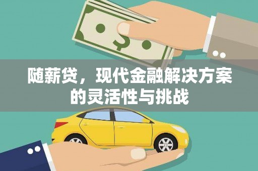 哈尔滨随薪贷，现代金融解决方案的灵活性与挑战