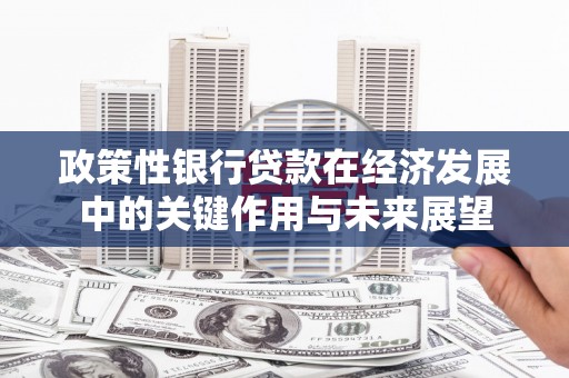哈尔滨政策性银行贷款在经济发展中的关键作用与未来展望