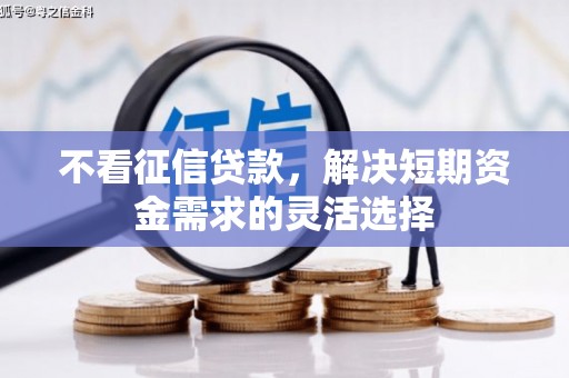 哈尔滨不看征信贷款，解决短期资金需求的灵活选择