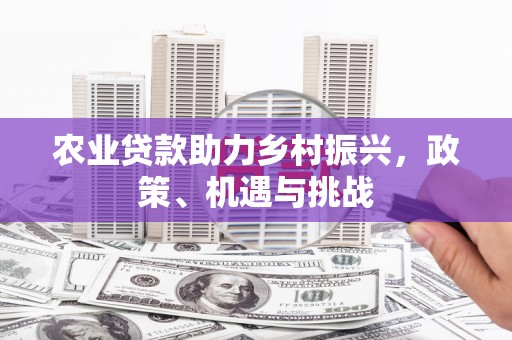 哈尔滨农业贷款助力乡村振兴，政策、机遇与挑战