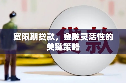 哈尔滨宽限期贷款，金融灵活性的关键策略