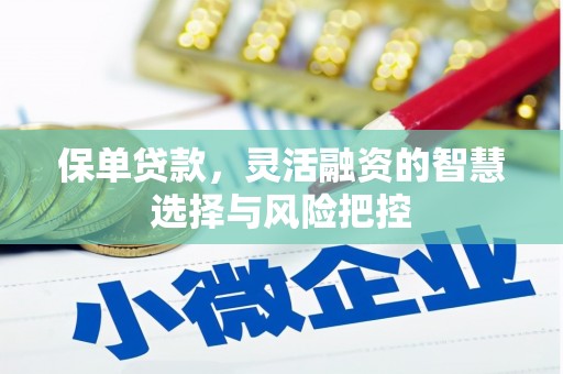哈尔滨保单贷款，灵活融资的智慧选择与风险把控