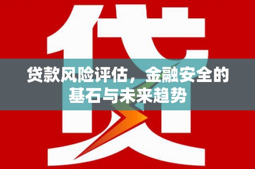 哈尔滨贷款风险评估，金融安全的基石与未来趋势