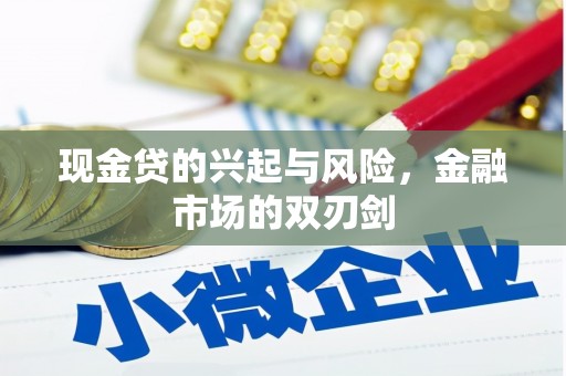 哈尔滨现金贷的兴起与风险，金融市场的双刃剑