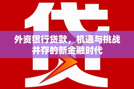 哈尔滨外资银行贷款，机遇与挑战并存的新金融时代