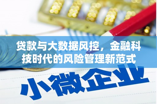 哈尔滨贷款与大数据风控，金融科技时代的风险管理新范式