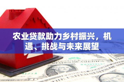哈尔滨农业贷款助力乡村振兴，机遇、挑战与未来展望