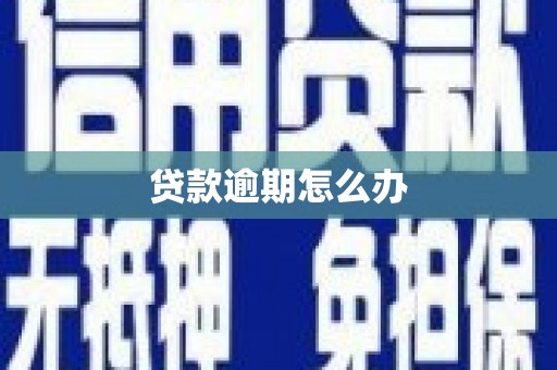哈尔滨贷款逾期怎么办