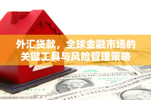 哈尔滨外汇贷款，全球金融市场的关键工具与风险管理策略