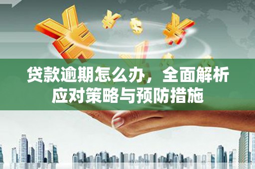 哈尔滨贷款逾期怎么办，全面解析应对策略与预防措施