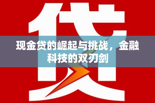 哈尔滨现金贷的崛起与挑战，金融科技的双刃剑