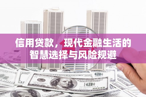 哈尔滨信用贷款，现代金融生活的智慧选择与风险规避
