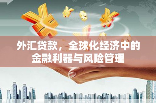 哈尔滨外汇贷款，全球化经济中的金融利器与风险管理