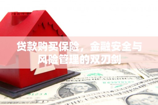 哈尔滨贷款购买保险，金融安全与风险管理的双刃剑