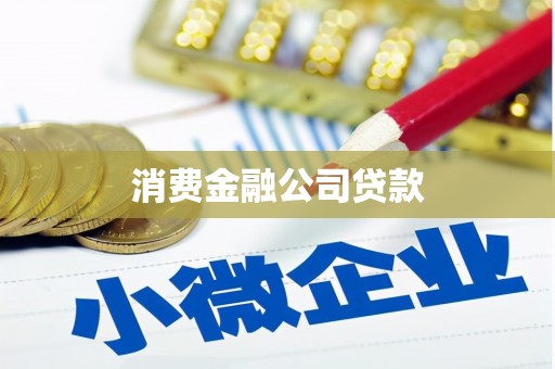 哈尔滨消费金融公司贷款