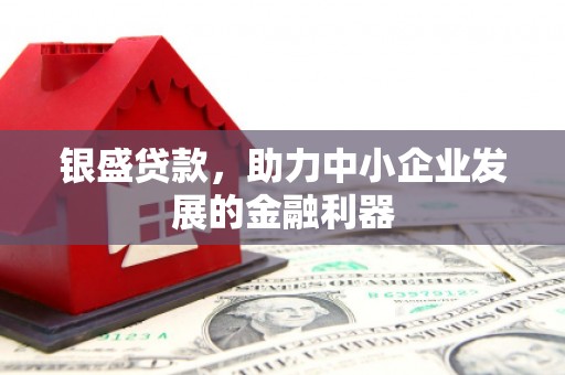 哈尔滨银盛贷款，助力中小企业发展的金融利器
