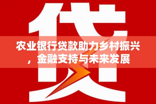 哈尔滨农业银行贷款助力乡村振兴，金融支持与未来发展