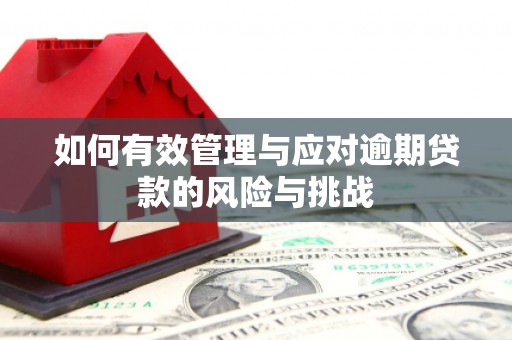 哈尔滨如何有效管理与应对逾期贷款的风险与挑战