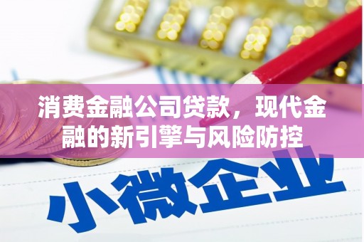 哈尔滨消费金融公司贷款，现代金融的新引擎与风险防控