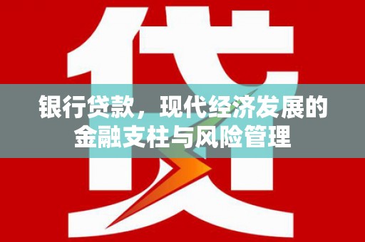 哈尔滨银行贷款，现代经济发展的金融支柱与风险管理
