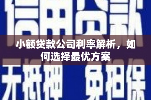 哈尔滨小额贷款公司利率解析，如何选择最优方案