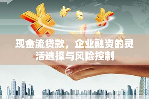 哈尔滨现金流贷款，企业融资的灵活选择与风险控制