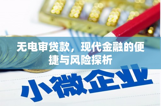哈尔滨无电审贷款，现代金融的便捷与风险探析