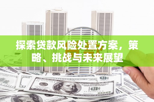 哈尔滨探索贷款风险处置方案，策略、挑战与未来展望