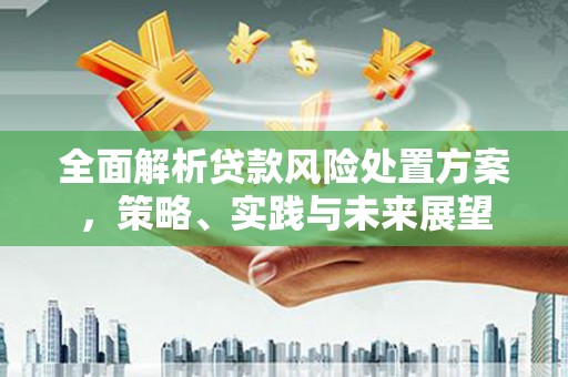 哈尔滨全面解析贷款风险处置方案，策略、实践与未来展望