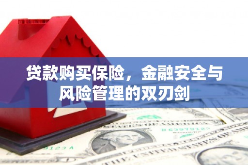 哈尔滨贷款购买保险，金融安全与风险管理的双刃剑