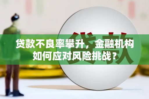 哈尔滨贷款不良率攀升，金融机构如何应对风险挑战？