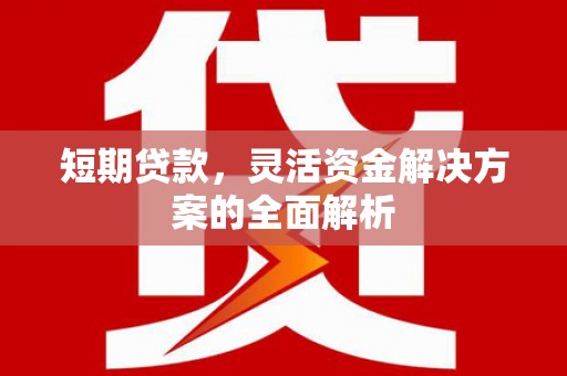 哈尔滨短期贷款，灵活资金解决方案的全面解析