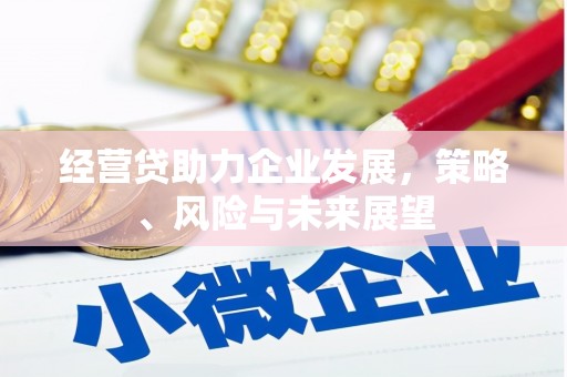 哈尔滨经营贷助力企业发展，策略、风险与未来展望