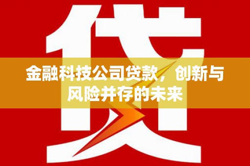 哈尔滨金融科技公司贷款，创新与风险并存的未来