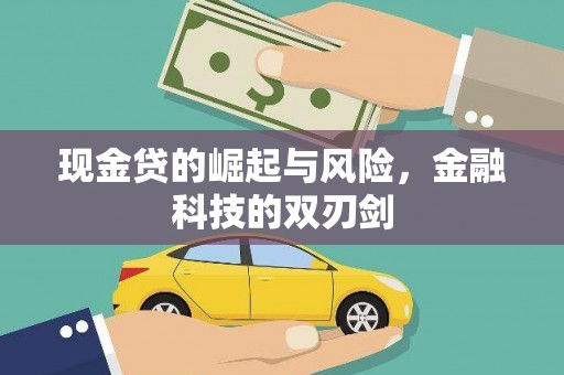 哈尔滨现金贷的崛起与风险，金融科技的双刃剑