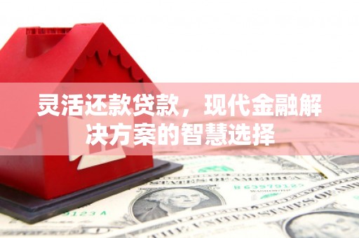 哈尔滨灵活还款贷款，现代金融解决方案的智慧选择