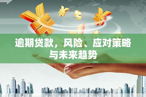 哈尔滨逾期贷款，风险、应对策略与未来趋势